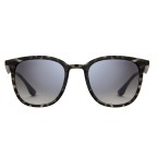 Ochelari de soare Sinner Cowell Negru/Gri | winteroutlet.ro