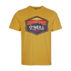 Tricou O'Neill Mountain Horizon T-Shirt Galben | winteroutlet.ro