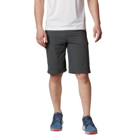 Silver Ridge Cargo Short Gri